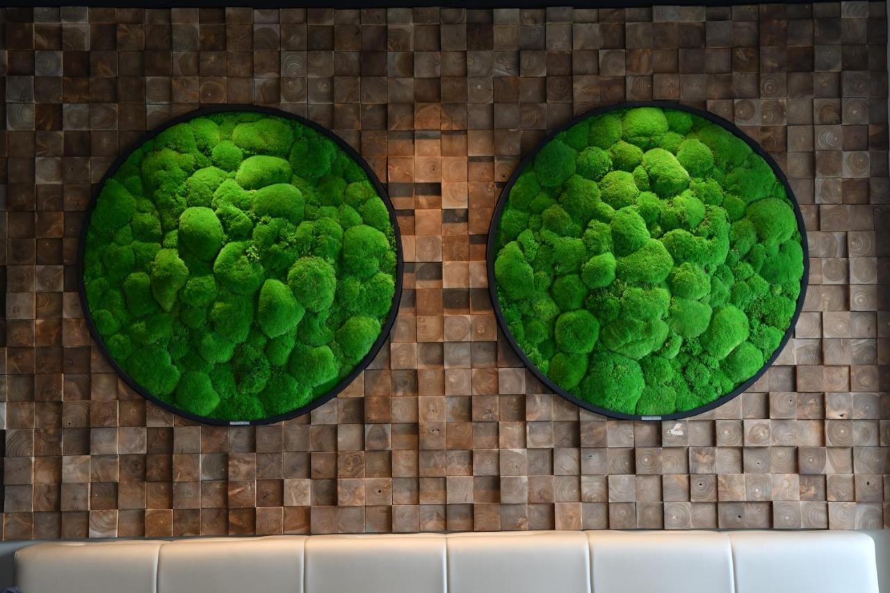 In Situ Hotel 瓦朗西纳 外观 照片