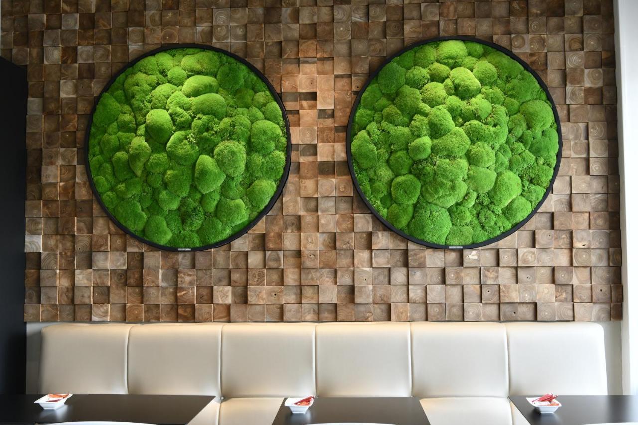 In Situ Hotel 瓦朗西纳 外观 照片